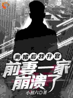 离婚后我升官，前妻一家崩溃了