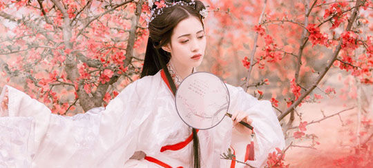 好看的薄少小说完本