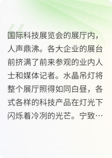 宁总的追妻攻坚战