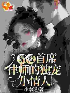 追爱蜜恋：大律师的惹火宝贝