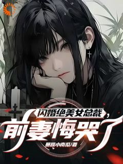 闪婚绝美女总裁，前妻悔哭了