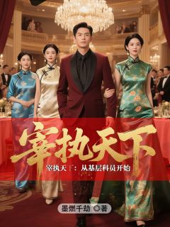 宰执天下：从基层科员开始