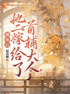 被休后，她二嫁给了首辅大人