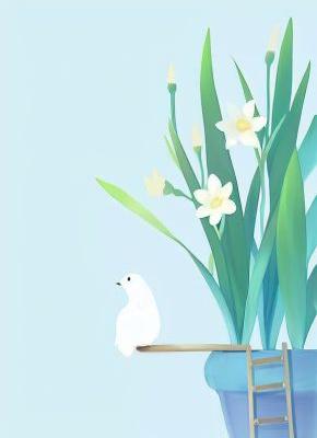 与校草的摄影恋爱公式