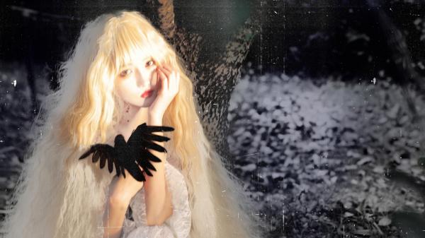 沈知言苏晚顾衍精彩章节小说免费试读地址 主角我死后，总裁老婆疯了