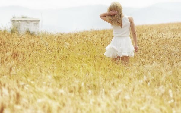 《宋皎宋瑶》小说全文精彩阅读 娘亲拿我身体给假千金招魂，却招出厉鬼了小说全文