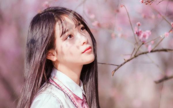 《都拿我当舔狗了，离婚后你哭什么？》小说章节列表在线阅读 沈棠岳应淮小说阅读