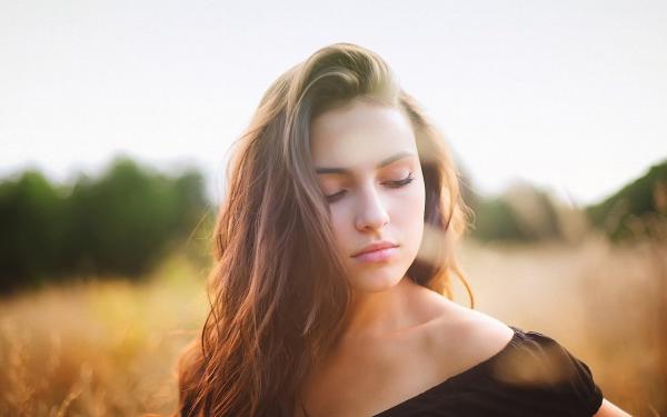 《林微沈时砚》小说章节列表在线阅读 脉络回响小说全文